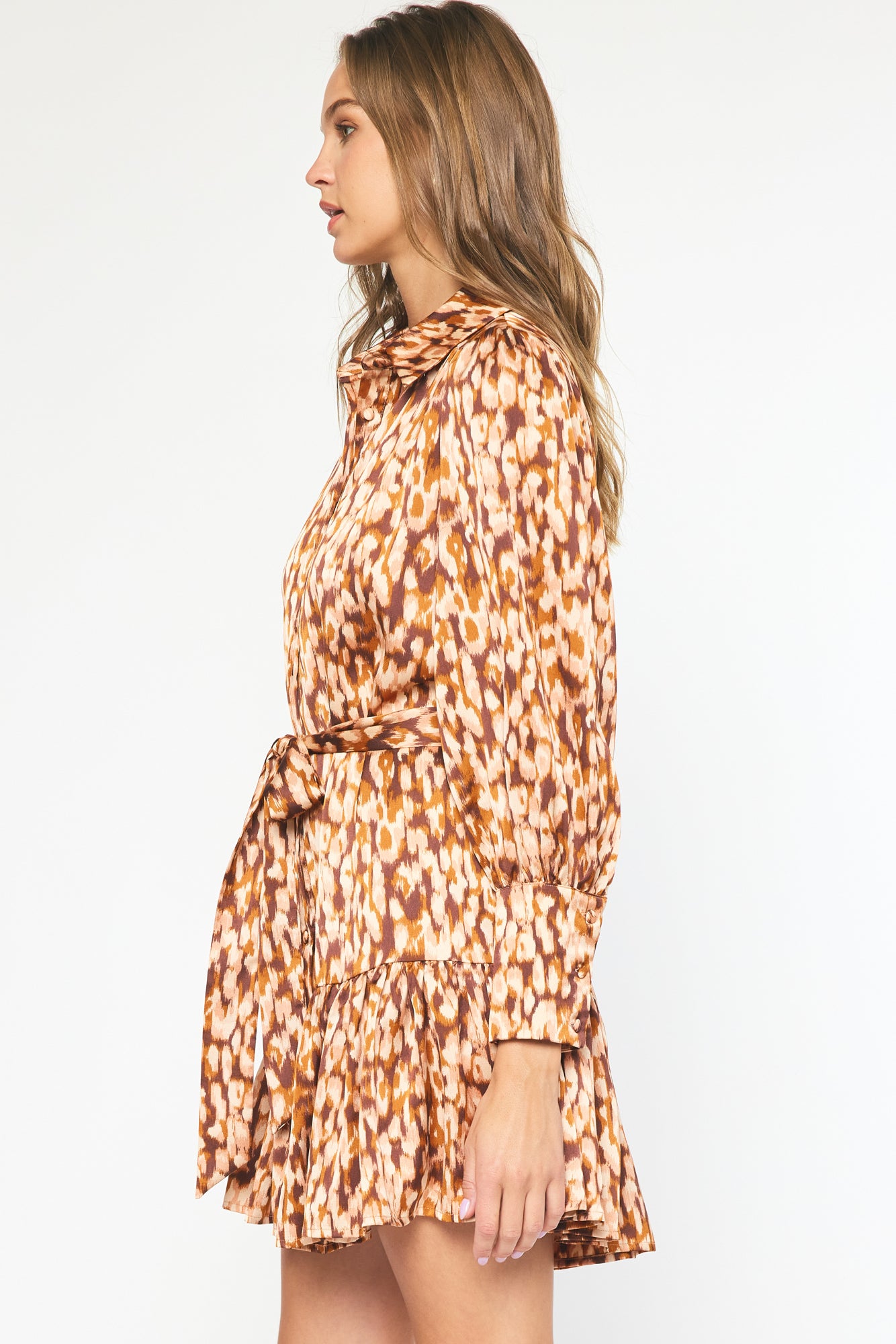 Fall Feels Dress